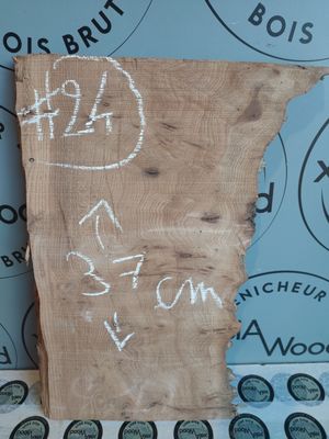 Petite planche loupe d’orme – Bois brut déco