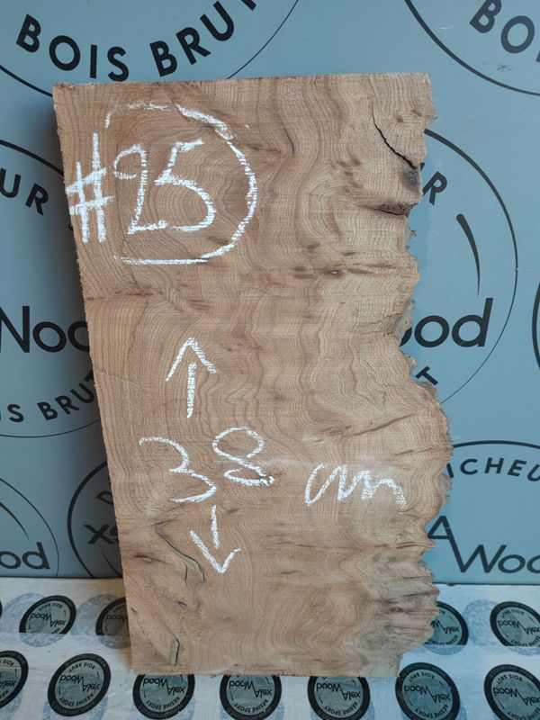 Planche loupe d’orme – Bois brut original