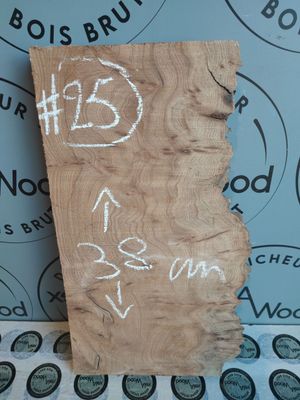 Planche loupe d’orme – Bois brut original