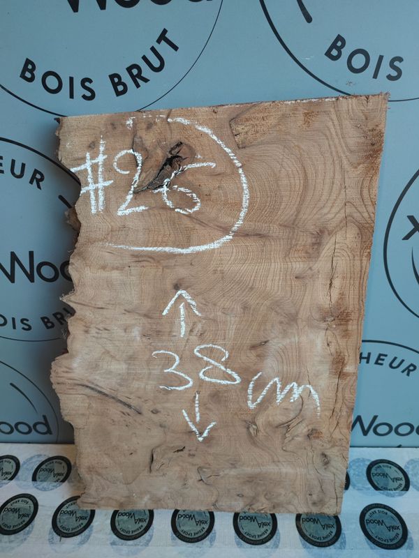 Planche loupe d’orme – Bois brut DIY