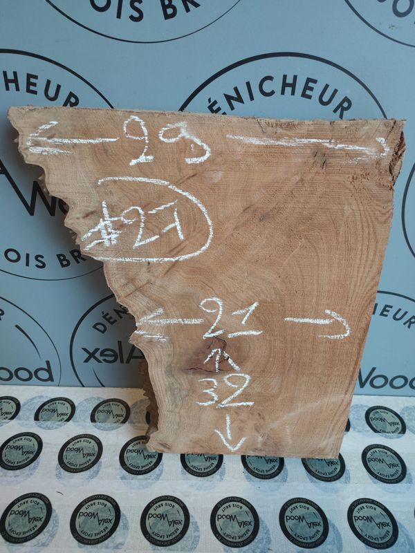 Mini planche loupe d’orme – Bois brut