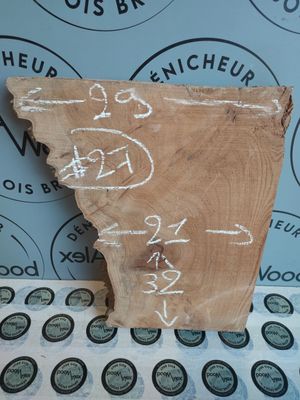 Mini planche loupe d’orme – Bois brut