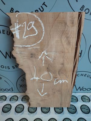 Mini planche loupe d’orme – Créa DIY