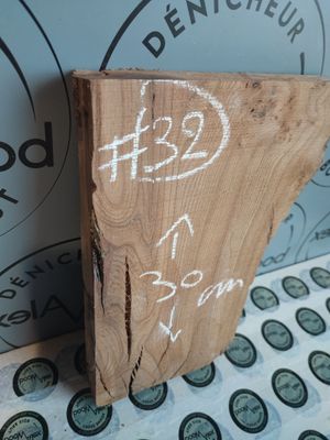 Planche loupe d’orme Idéal DIY et bricolage Planche loupe d’orme Idéal DIY et bricolage