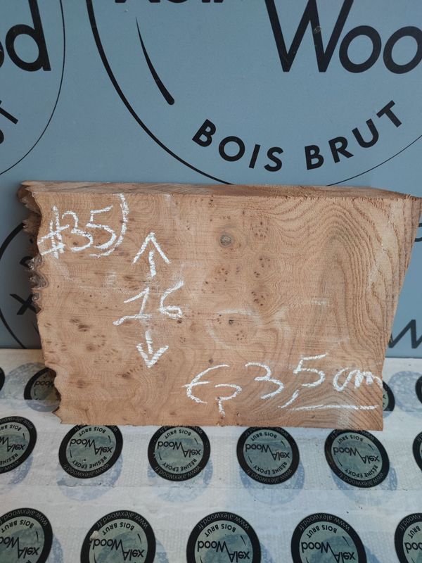 Mini planche loupe d’orme pour créa maison