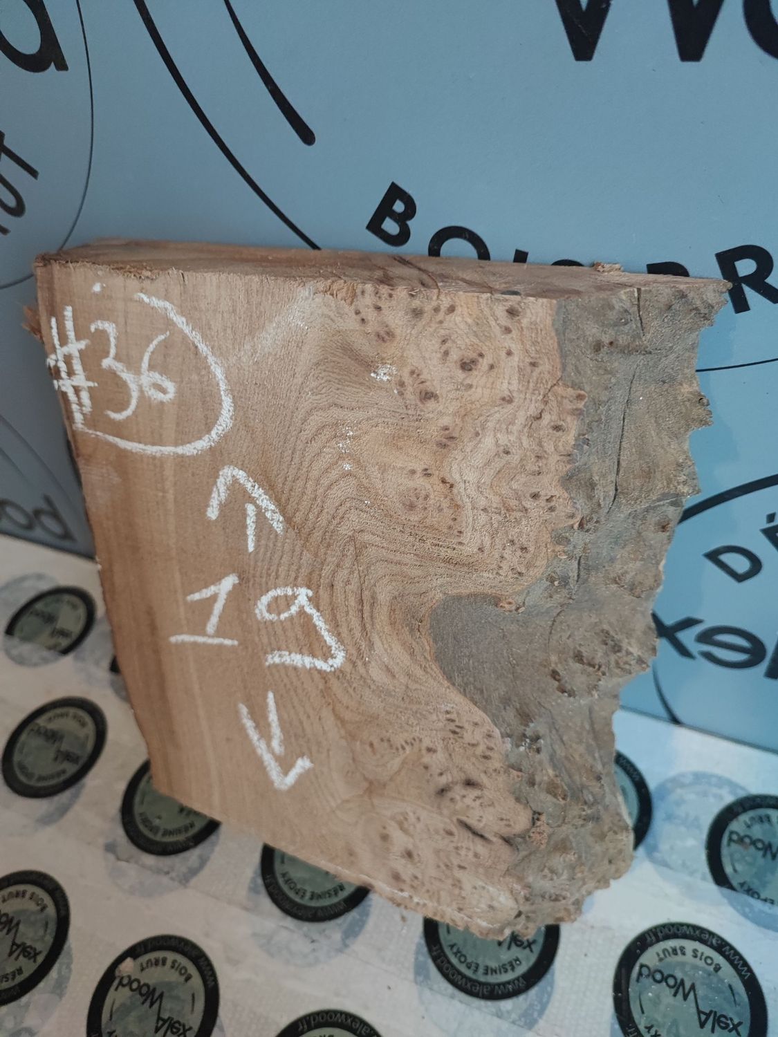 ​Planche loupe d’orme – Bois brut DIY