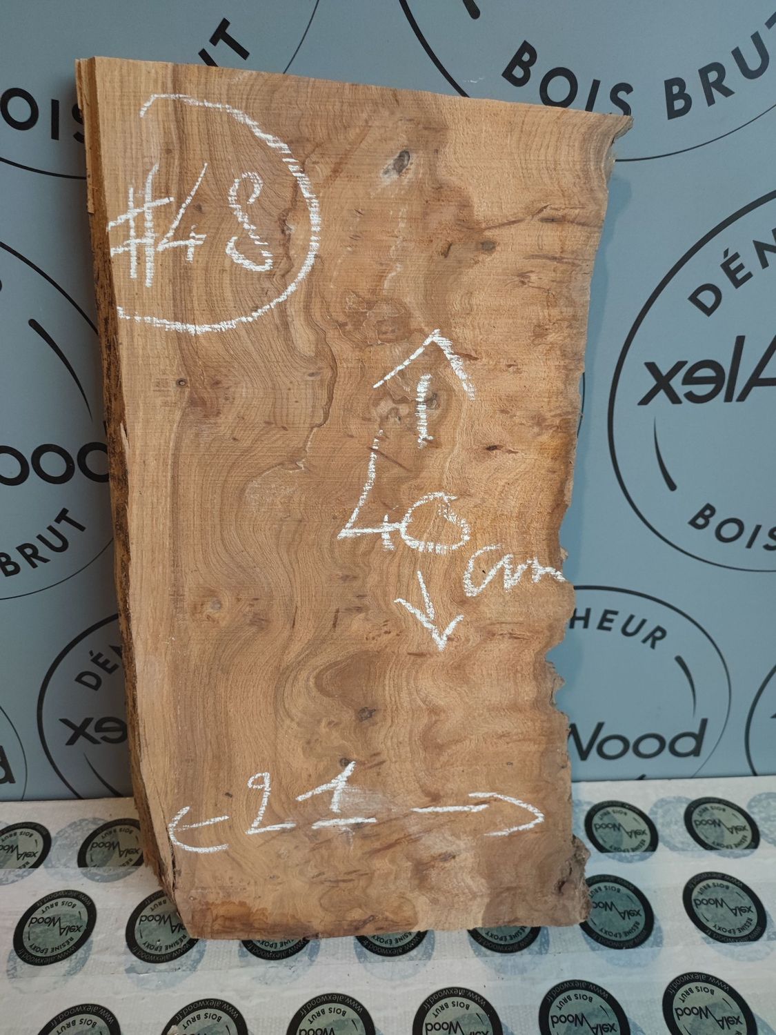 Planche loupe d’orme – Bois brut créatif