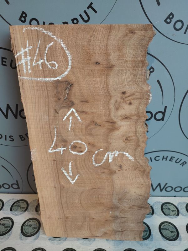 Planche loupe d’orme – DIY & déco