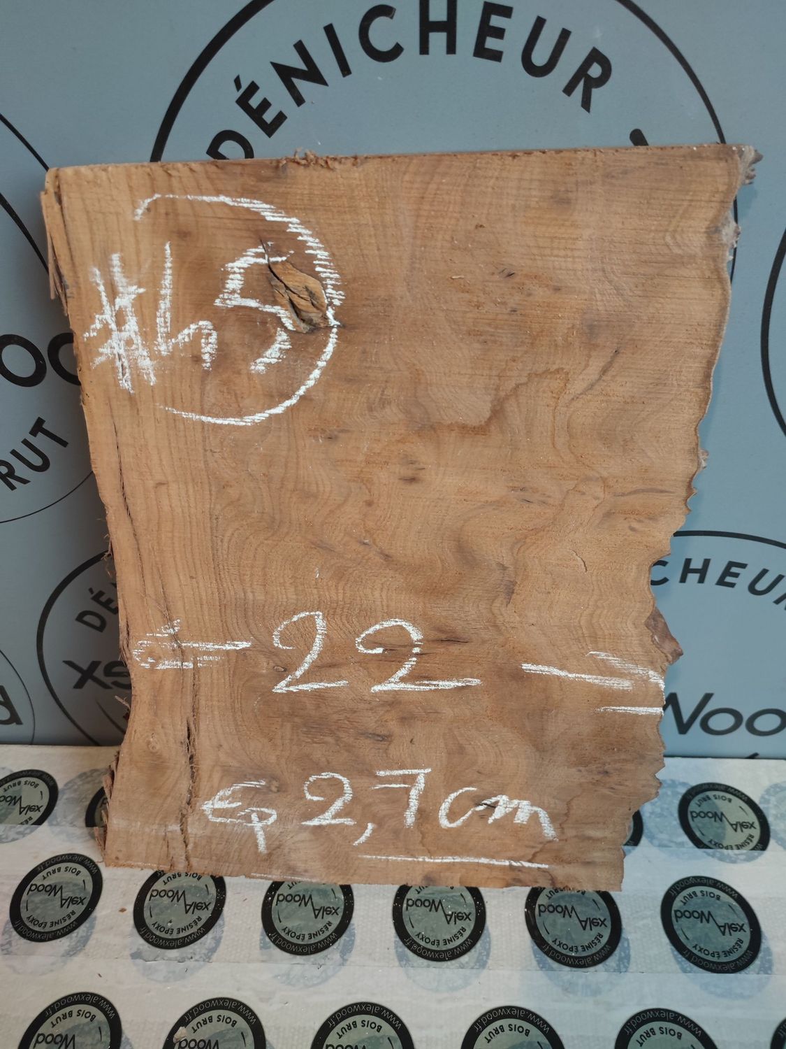 Mini planche loupe d’orme – Créa DIY