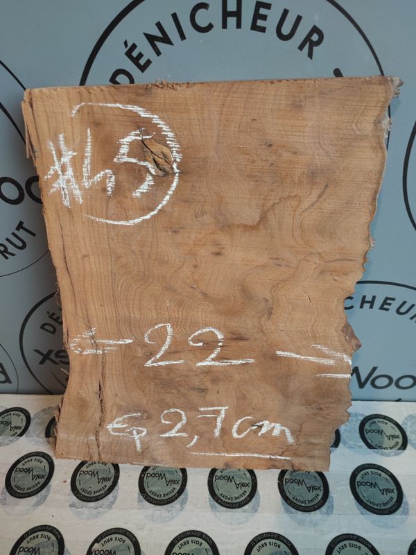 Mini planche loupe d’orme – Créa DIY