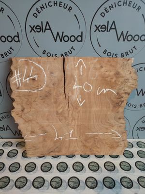 Planche loupe d’orme – DIY créatif