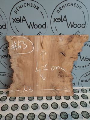 Petit plateau loupe d'orme bois brut