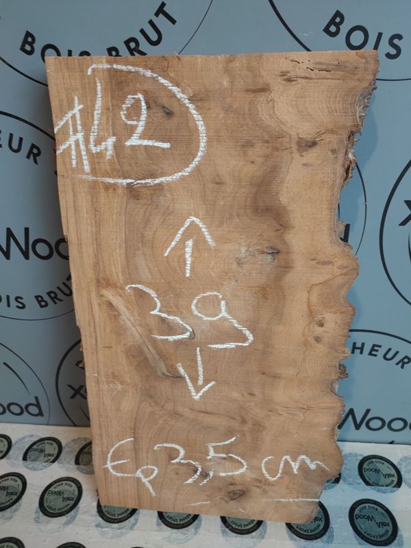 Planche de loupe d'orme parfait pour bricolage et DIY