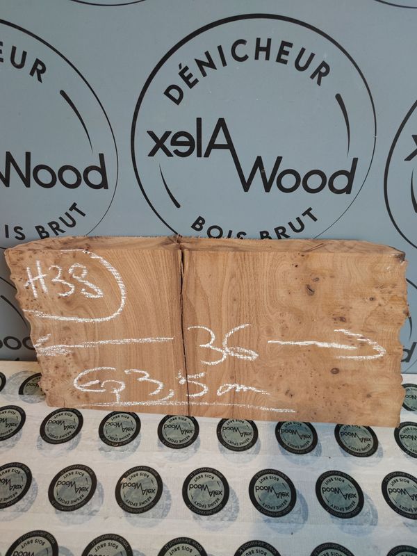 Planche de loupe d'orme idéale création maison et DIY