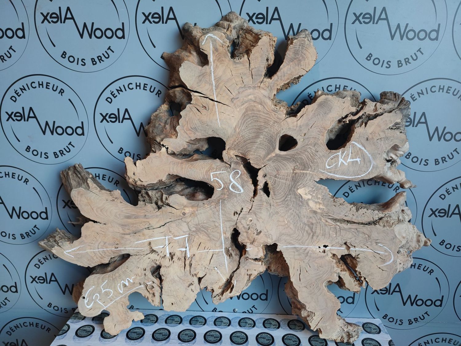 Disque bois d'olivier Disque bois d'olivier