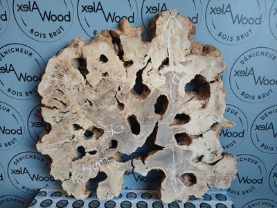 Disque de bois d'olivier - Formes bruts Disque de bois d'olivier - Formes bruts