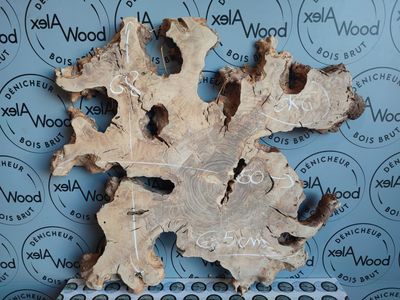 Racine d'olivier brut pour projet en résine époxy Racine d'olivier brut pour projet en résine époxy