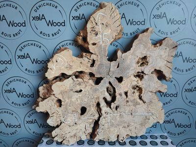 Rondelle de bois d'olivier massif idéal table résine époxy AlexWood et déco murale