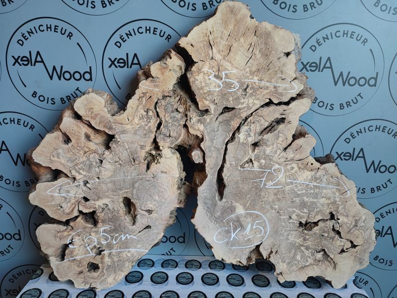 Disque raboté bois d'olivier massif