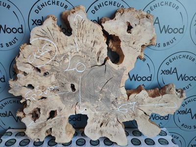 Rondelle rabotée bois d'olivier Rondelle rabotée bois d'olivier