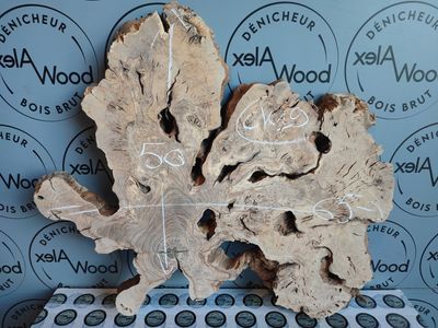 Cookie de bois d'olivier