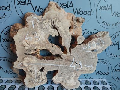 Rondelle bois d'olivier Rondelle bois d'olivier