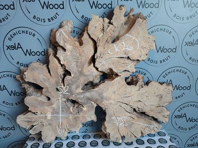 Disque de bois d'olivier Disque de bois d'olivier