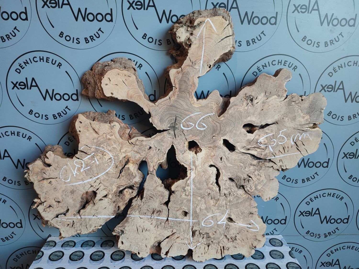 Disque de bois d'olivier Disque de bois d'olivier