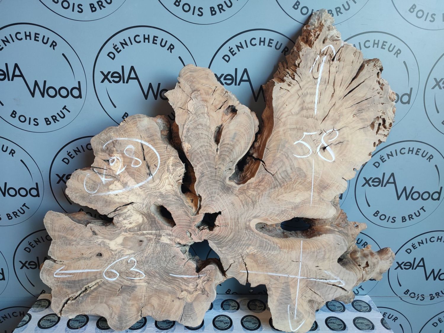 Disque de bois d'olivier Disque de bois d'olivier