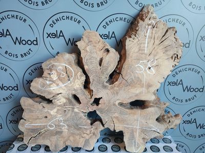 Disque de bois d'olivier Disque de bois d'olivier