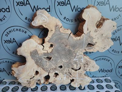 Disque de bois d'olivier Disque de bois d'olivier