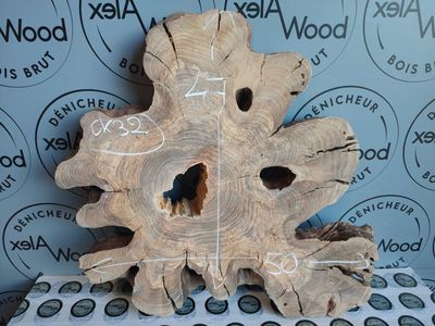 Rondelle bois d'olivier