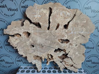 Disque épais bois d'olivier Rondelle XXL bois d'olivier - AlexWood - Toulouse - France