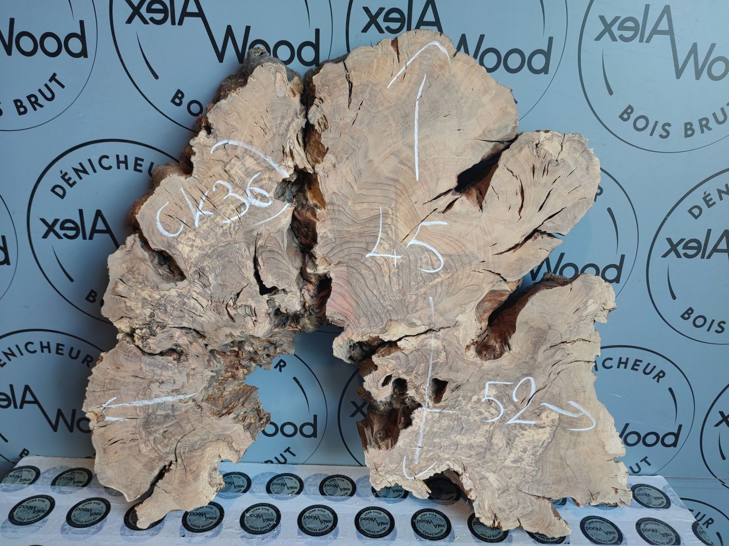 Disque bois d'olivier idéal plateau table résine époxy Ecopoxy AlexWood - Magasin bois et résine époxy Toulouse