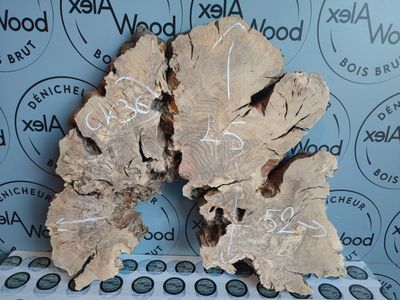 Disque bois d'olivier idéal plateau table résine époxy Ecopoxy AlexWood - Magasin bois et résine époxy Toulouse