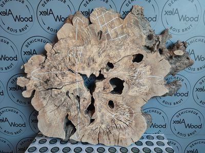 Disque bois d'olivier idéal projet résine époxy Ryver Epoxy