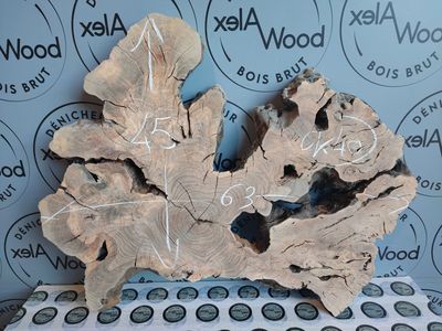 Plateau rondelle bois d'olivier idéal résine époxy Projet bois d'olivier et résine époxy - AlexWood Toulouse