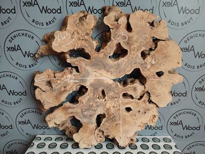 Rondelle d’Olivier – Pièce Unique Idéale pour Résine Époxy & Décoration Design Rondelle d’Olivier – Pièce Unique Idéale pour Résine Époxy & Décoration Design