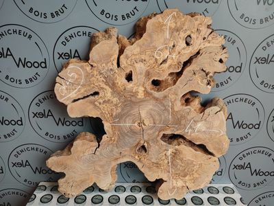 Rondelle d’Olivier – Pièce noble pour décoration contemporaine & époxy Rondelle d’Olivier – Pièce noble pour décoration contemporaine & époxy