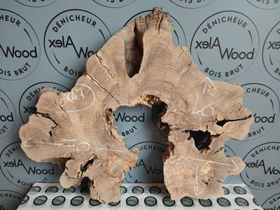 Rondelle d’Olivier naturelle – Idéale pour DIY haut de gamme & résine Rondelle d’Olivier naturelle – Idéale pour DIY haut de gamme & résine