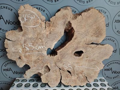 Cookie d’Olivier naturel – Support idéal pour art mural & pièces époxy Cookie d’Olivier naturel – Support idéal pour art mural & pièces époxy