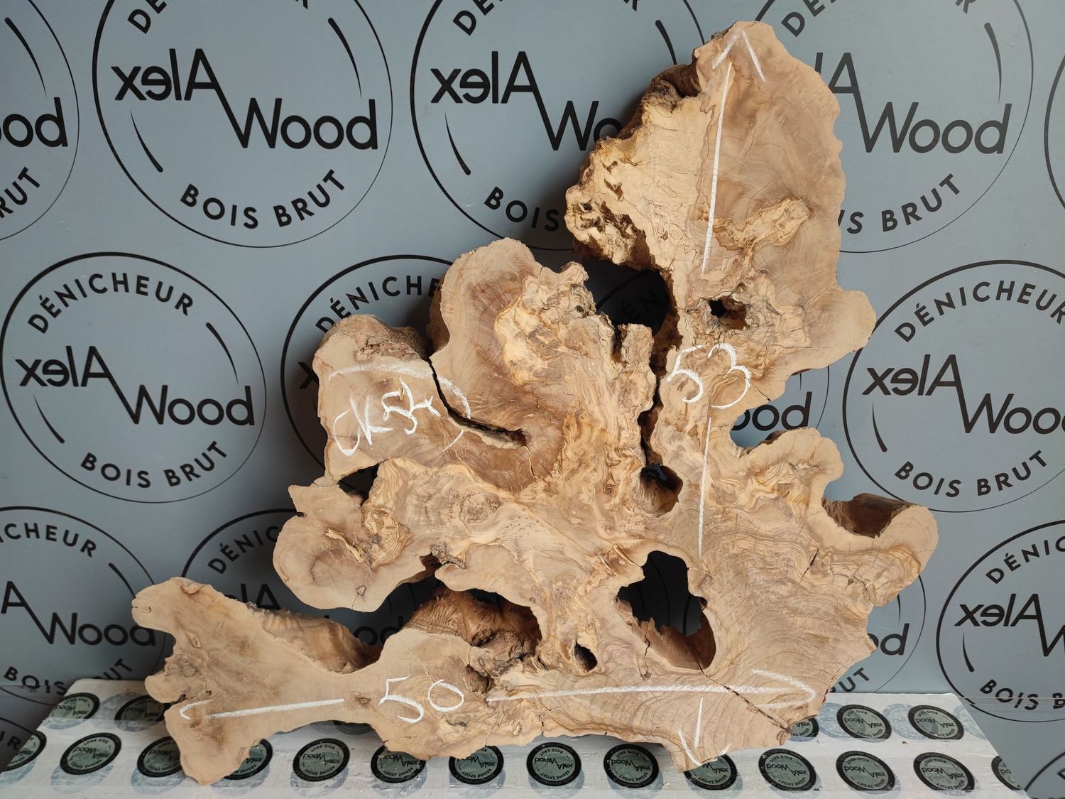 Rondelle de Bois d’Olivier – Pièce Organique Idéale pour Projets Résine & Décoration Design Rondelle de Bois d’Olivier – Pièce Organique Idéale pour Projets Résine & Décoration Design