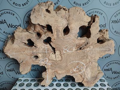 Rondelle d’Olivier – Support Authentique pour Créations Résine Époxy & Objets Design Rondelle d’Olivier – Support Authentique pour Créations Résine Époxy & Objets Design