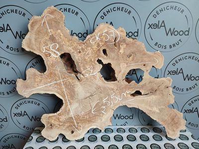 ​Cookie d’Olivier – Pièce Naturelle pour DIY, Résine Époxy & Créations Contemporaines