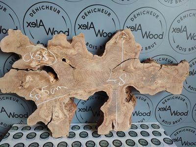 Rondelle d’Olivier – Support Premium pour Objets Résine & Projets DIY Rondelle d’Olivier – Support Premium pour Objets Résine & Projets DIY