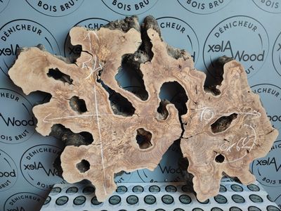 Rondelle d’Olivier – Base Organique pour Créateurs Résine & Décoration Naturelle Planche bois spéciale table résine époxy - Toulouse