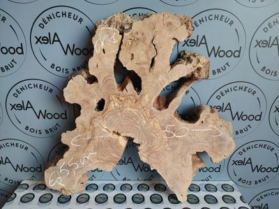 Cookie d’Olivier – Rondelle Naturelle pour Créations Originales & Résine Époxy Cookie d’Olivier – Rondelle Naturelle pour Créations Originales & Résine Époxy