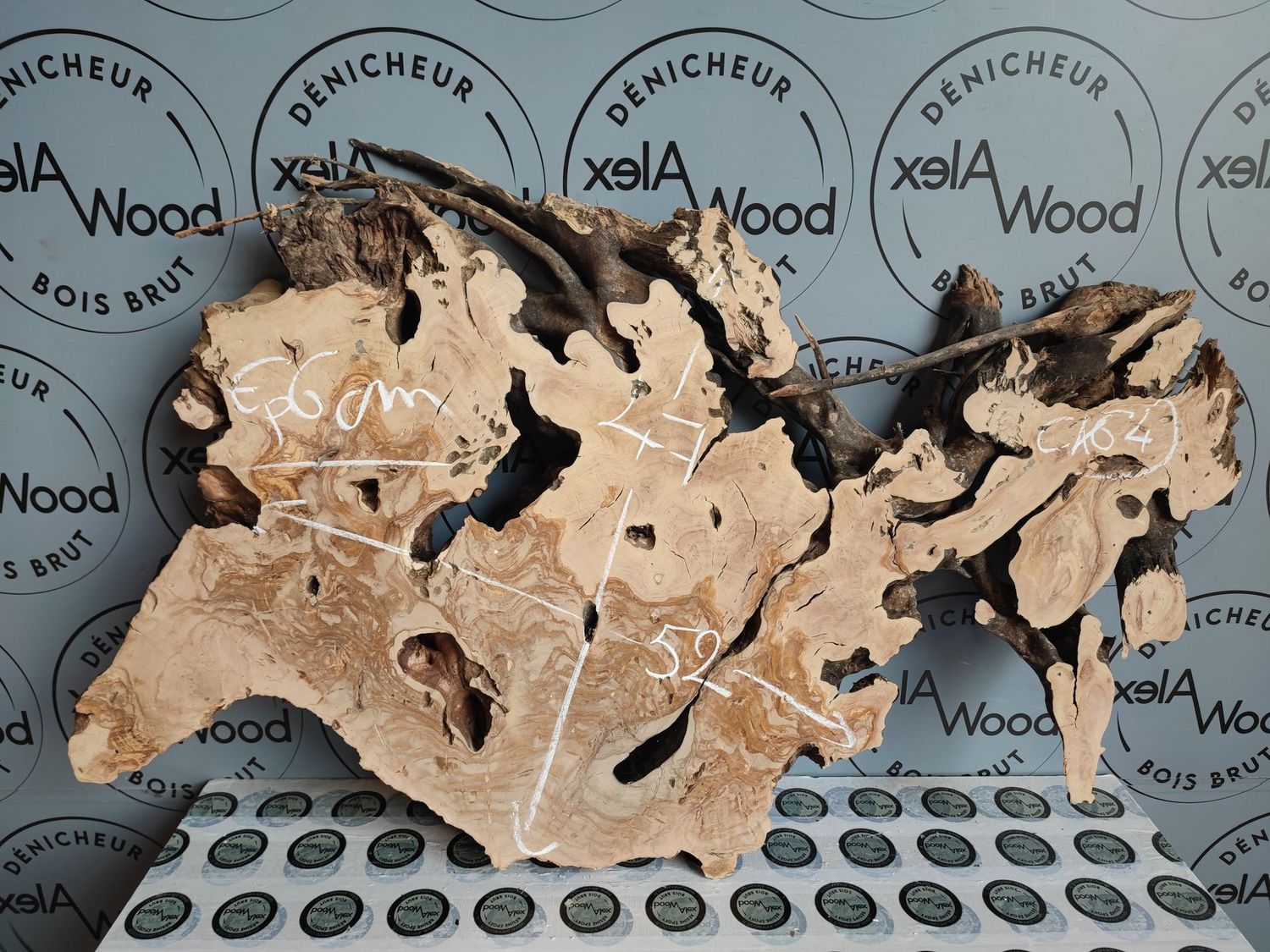 Racine d’Olivier – Élément Naturel pour Design, Art & Résine Époxy Racine d'olivier idéal terrarium ou vivarium magasin bois et résine époxy Toulouse