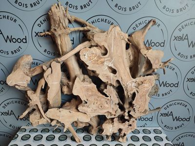 Racine d’Olivier – Support Naturel pour Projets DIY & Résine Époxy Racine d’Olivier – Support Naturel pour Projets DIY & Résine Époxy