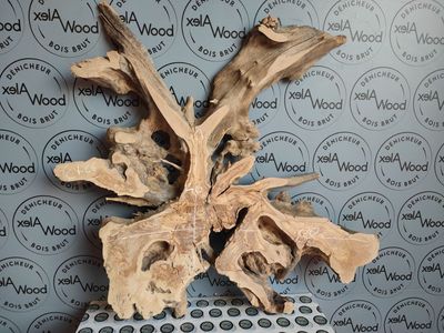 Racine d’olivier naturel pour projets en résine et décoration artisanale Racine d’olivier naturel pour projets en résine et décoration artisanale